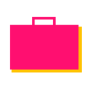 Budget Icon