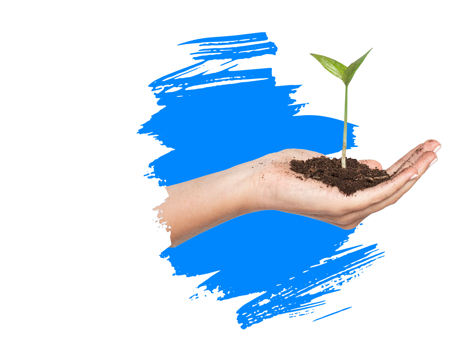 Plant3