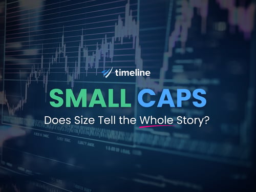 Small Caps: Does Size Tell the Whole Story?